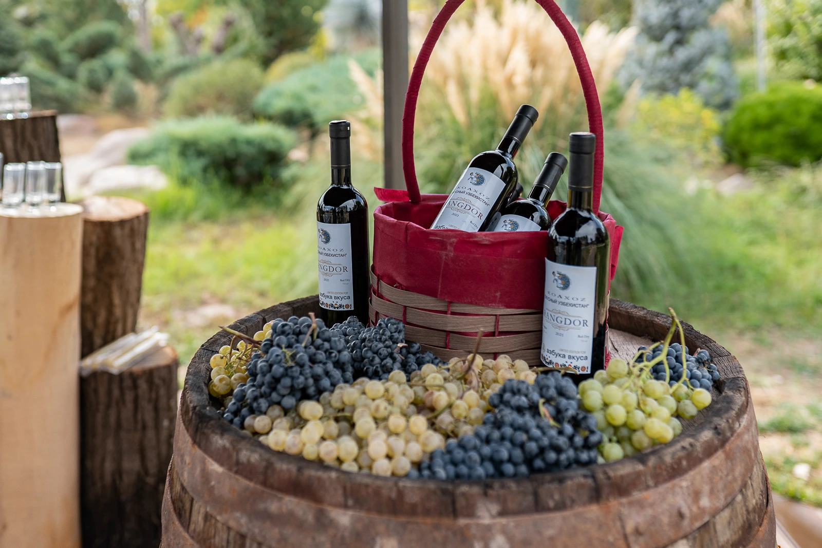 Cata de vino tradicional en una bodega histórica de Samarcanda, Uzbekistán