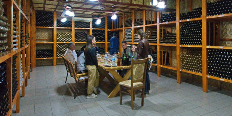 Artisanal wine tasting in a traditional Uzbek winery